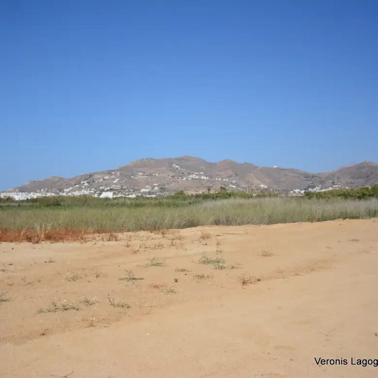 Chora Naxos / 3 houses with swimming pools