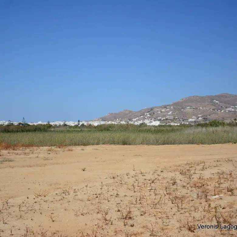 Chora Naxos / 3 houses with swimming pools