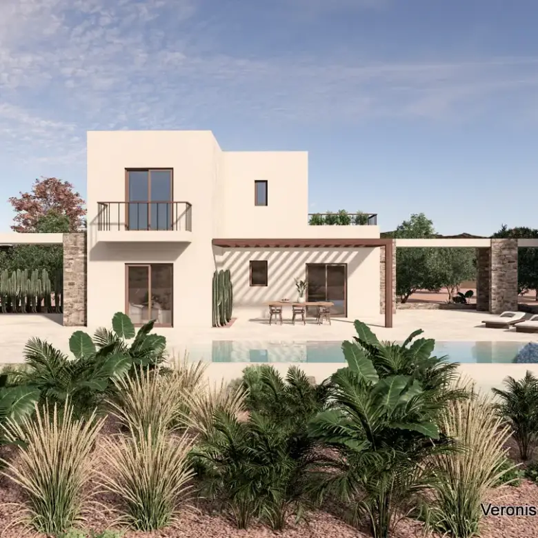Chora Naxos / 3 houses with swimming pools