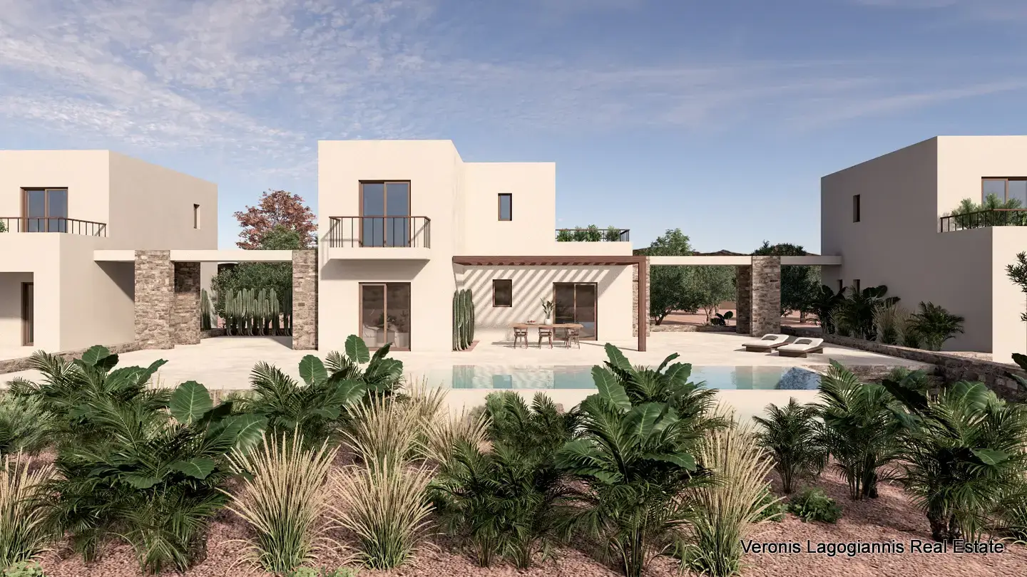 Render Κατοικιών στην Νάξο (2 of 6) Chora Naxos / 3 houses with swimming pools