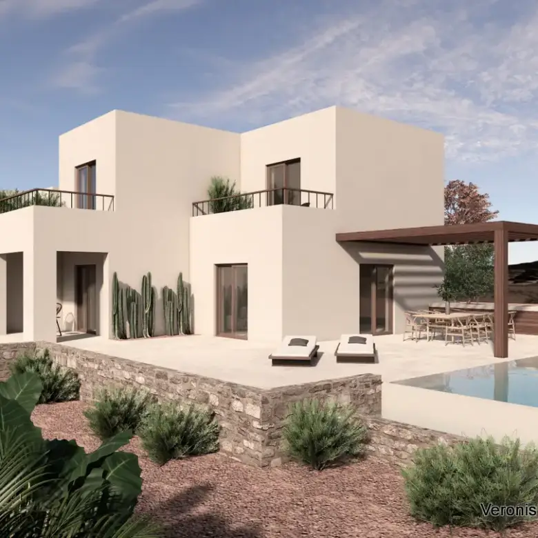 Chora Naxos / 3 houses with swimming pools