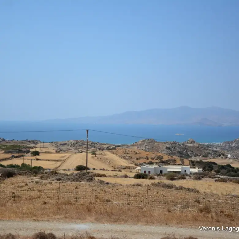 Βίβλος Νάξου / 2 όμορα γεωτεμάχια συνολικής έκτασης 15.475,21 m2 / 640595