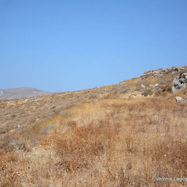 Βίβλος Νάξος / Αγροτεμάχιο 8.656,71 m2 / 640605