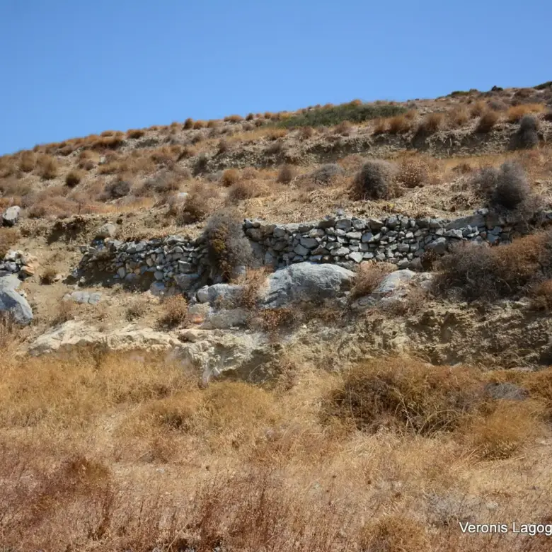 Βίβλος Νάξου / 2 όμορα γεωτεμάχια συνολικής έκτασης 15.475,21 m2 / 640595