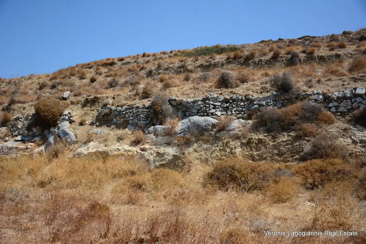 DSC_8656 Βίβλος Νάξου / 2 όμορα γεωτεμάχια συνολικής έκτασης 15.475,21 m2 / 640595