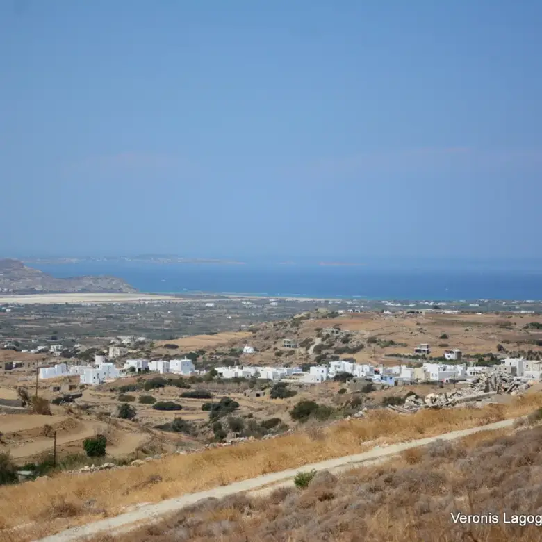 Βίβλος Νάξος / Αγροτεμάχιο 8.656,71 m2 / 640605