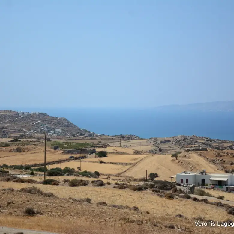 Βίβλος Νάξος / Αγροτεμάχιο 8.656,71 m2 / 640605