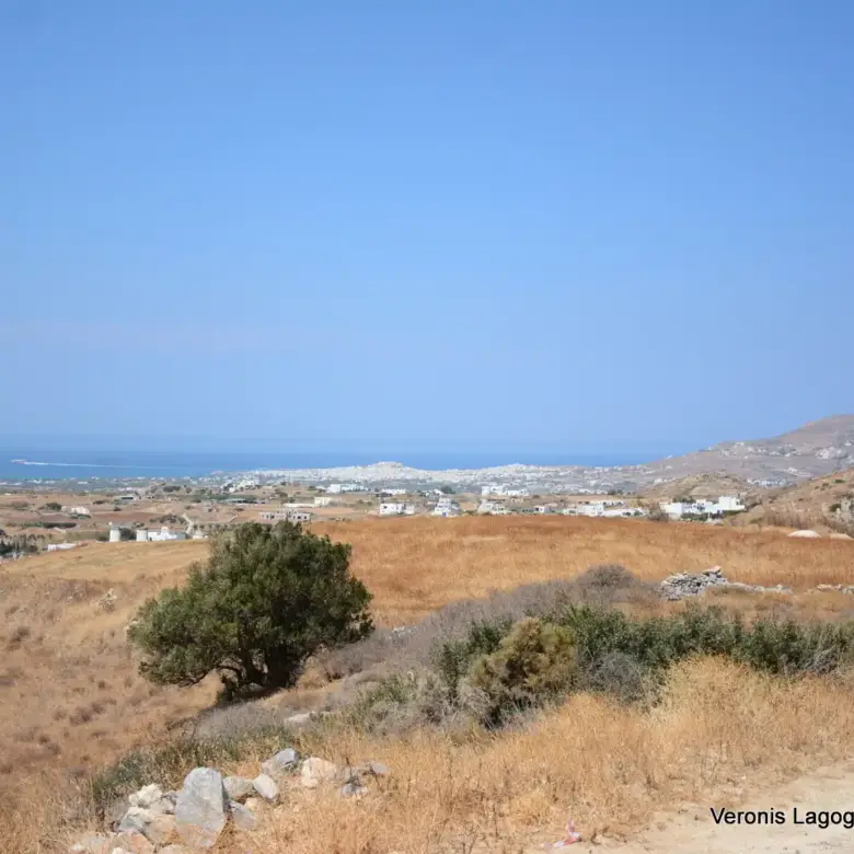 Βίβλος Νάξος / Αγροτεμάχιο 8.656,71 m2 / 640605