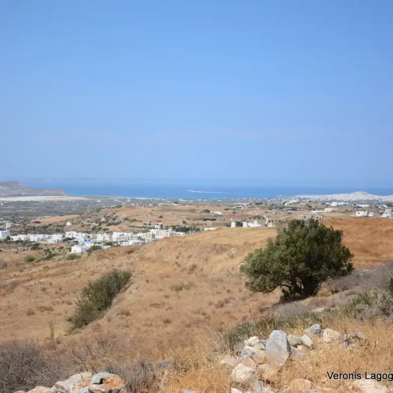 Βίβλος Νάξου / 2 όμορα γεωτεμάχια συνολικής έκτασης 15.475,21 m2 / 640595