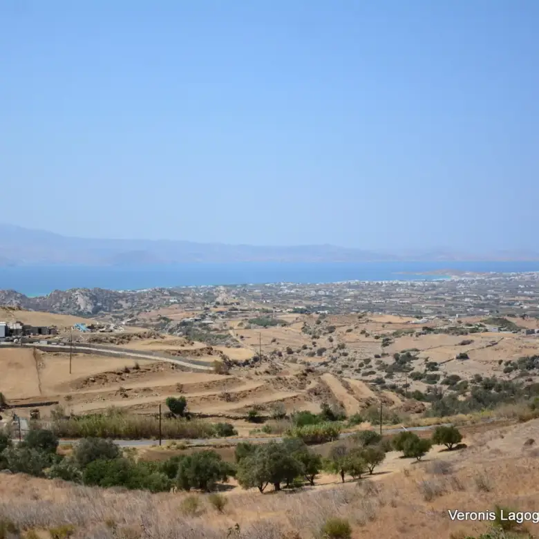 Βίβλος Νάξος / Αγροτεμάχιο 8.656,71 m2 / 640605
