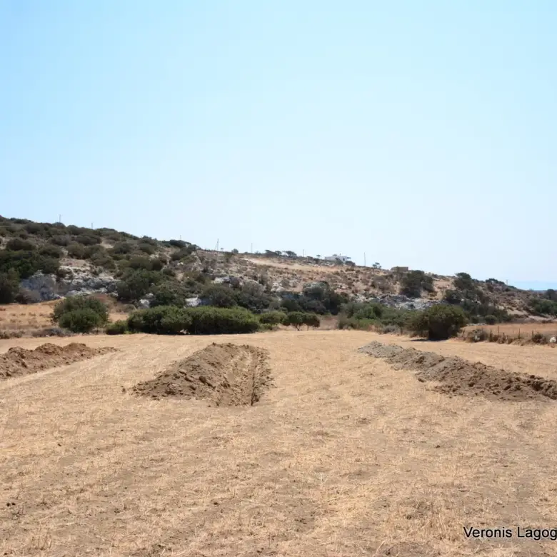 Καστράκι Νάξος / Αγροτεμάχιο 2.890 m2 / 640594