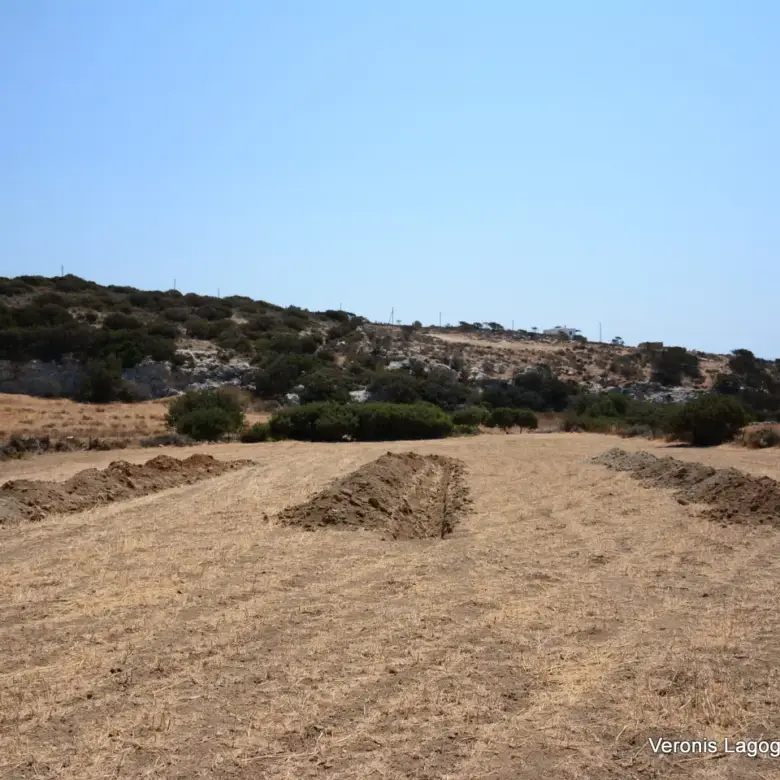 Καστράκι Νάξος / Αγροτεμάχιο 2.890 m2 / 640594
