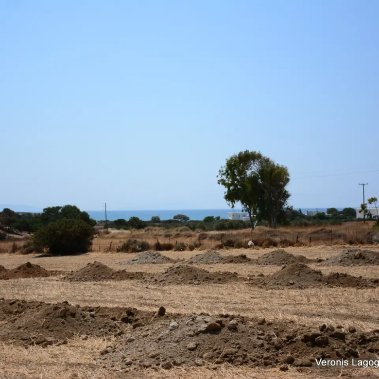 Καστράκι Νάξος / Αγροτεμάχιο 2.890 m2 / 640594