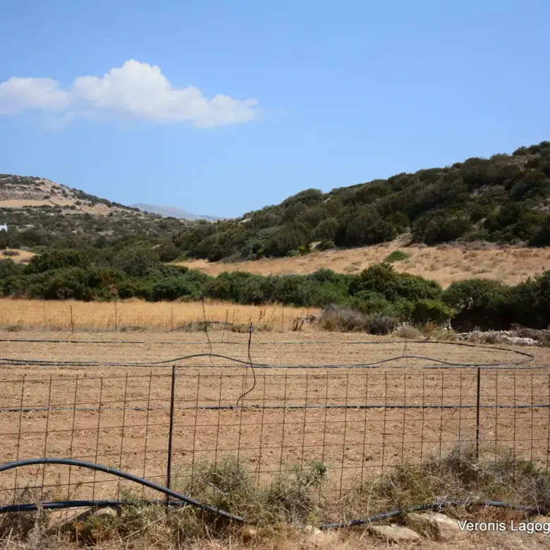 Καστράκι Νάξος / Αγροτεμάχιο 2.890 m2 / 640594
