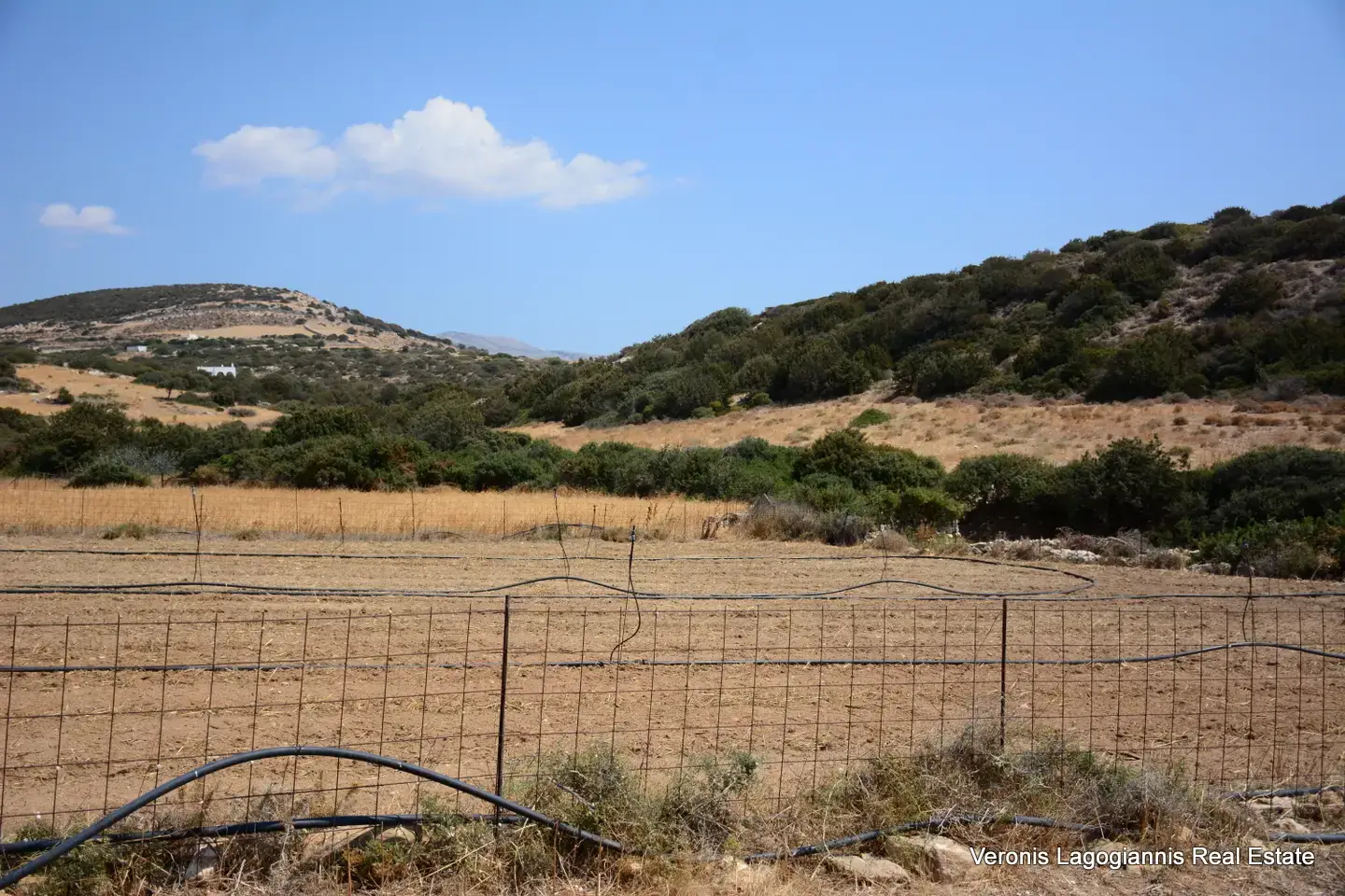 Καστράκι Νάξος / Αγροτεμάχιο 2.890 m2 / 640594