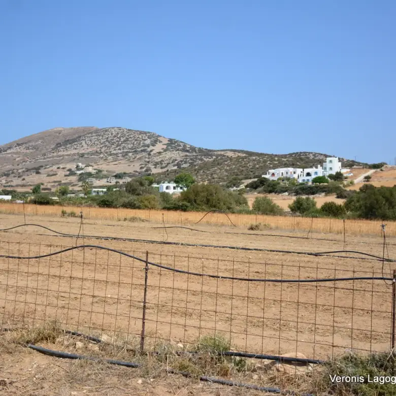 Καστράκι Νάξος / Αγροτεμάχιο 2.890 m2 / 640594