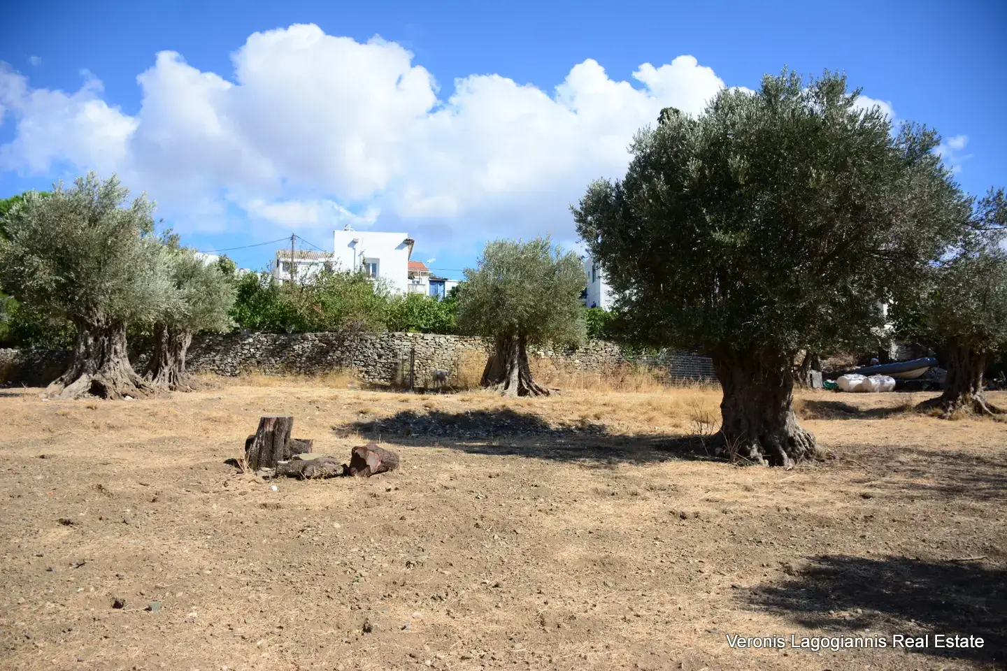 Καλόξυλο Νάξος / Αρχαίος ελαιώνας 2.000 m2 / 640604