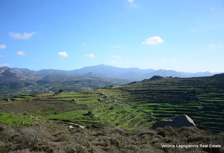 Aggidia Naxos / agricultural land of 8.607.70 m2 / 640551