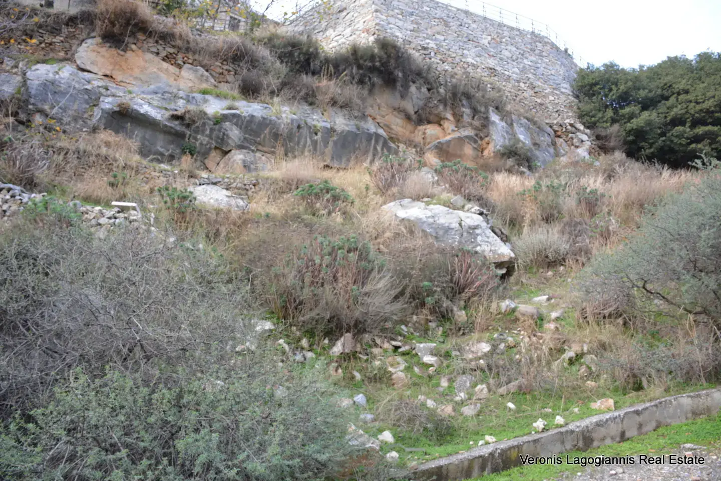 DSC_9361 Filoti Naxos / plot of 205 m2 / 640614