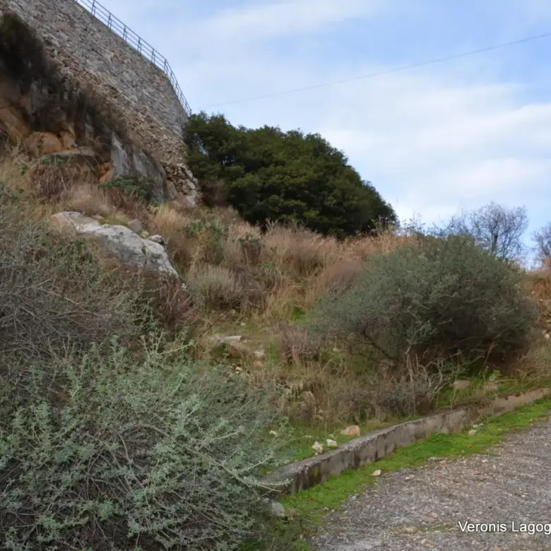 Filoti Naxos / plot of 205 m2 / 640614