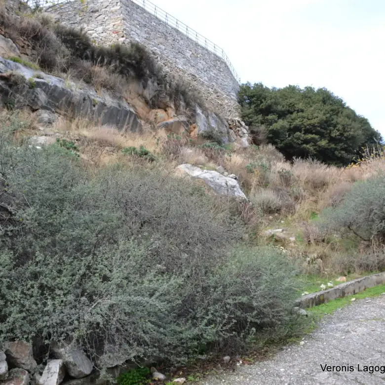 Filoti Naxos / plot of 205 m2 / 640614