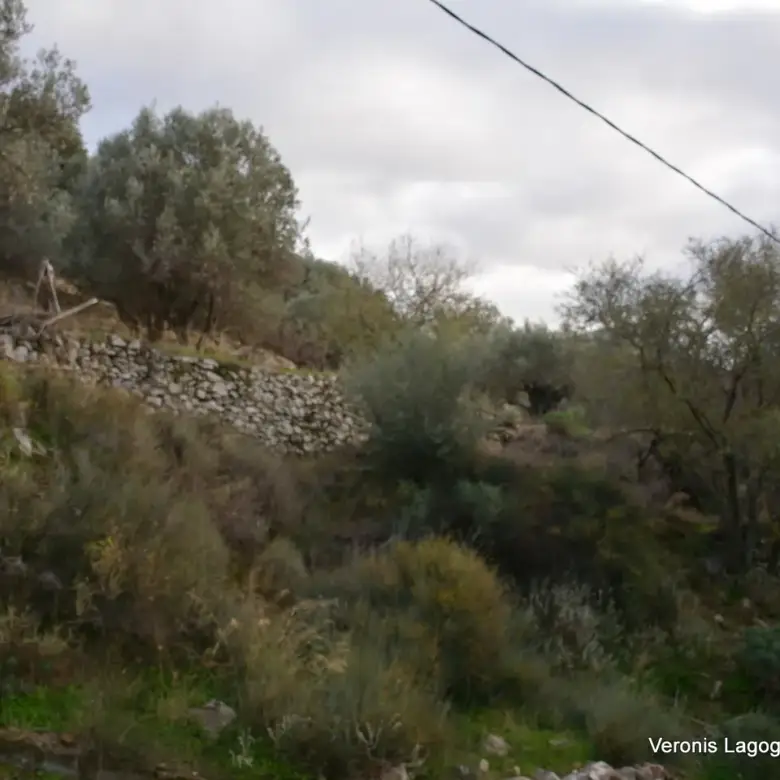 Filoti Naxos / plot of 205 m2 / 640614