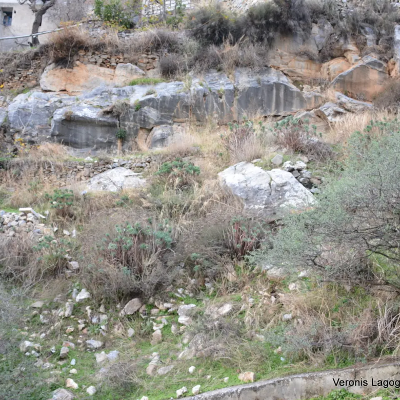 Filoti Naxos / plot of 205 m2 / 640614