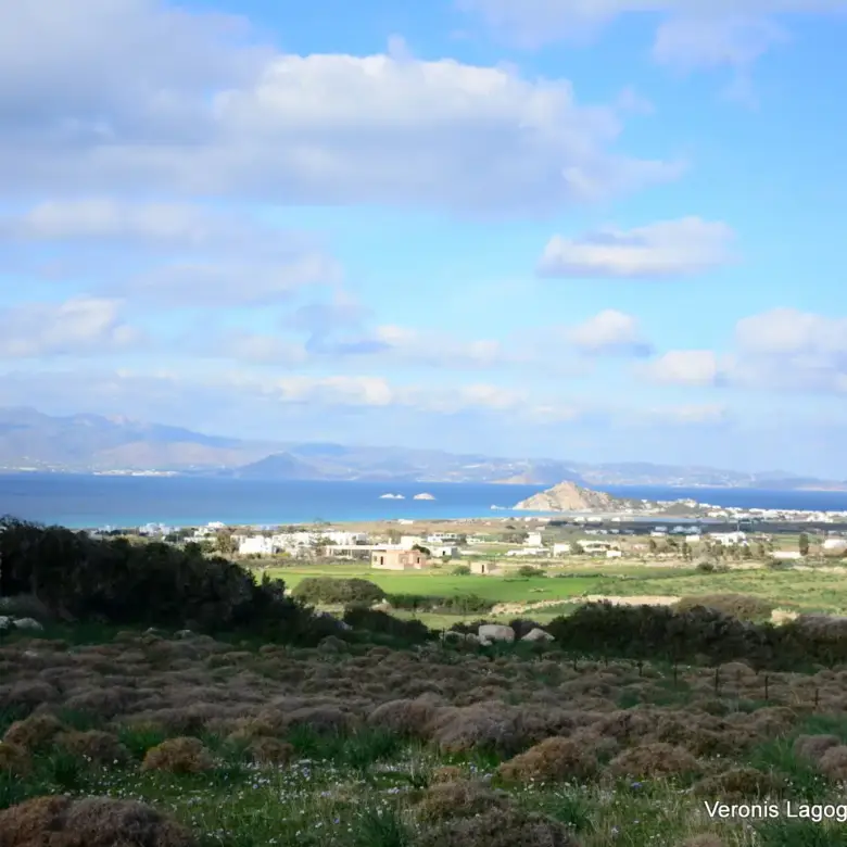 Kastraki Naxos/Plot of land of 4,098 m²/640615
