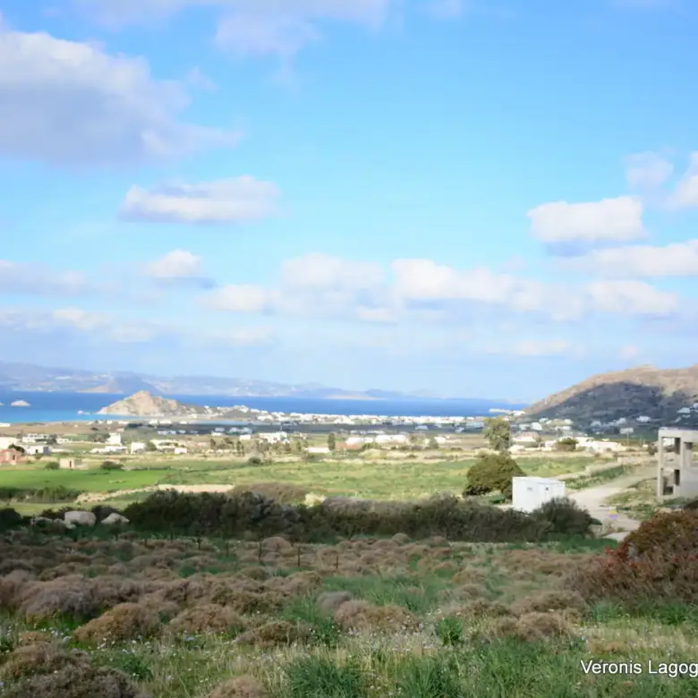 Kastraki Naxos/Plot of land of 4,098 m²/640615