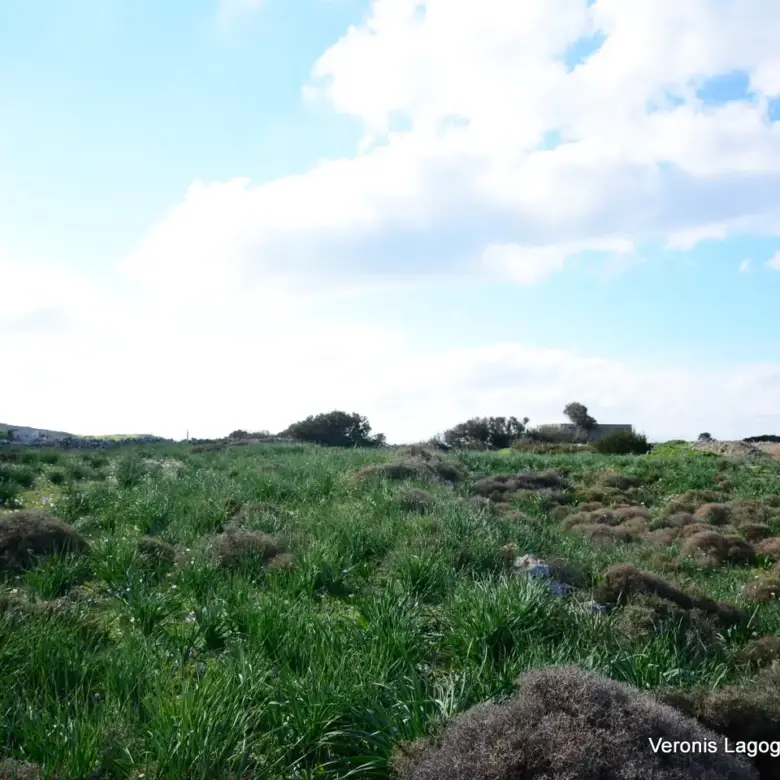 Kastraki Naxos/Plot of land of 4,098 m²/640615
