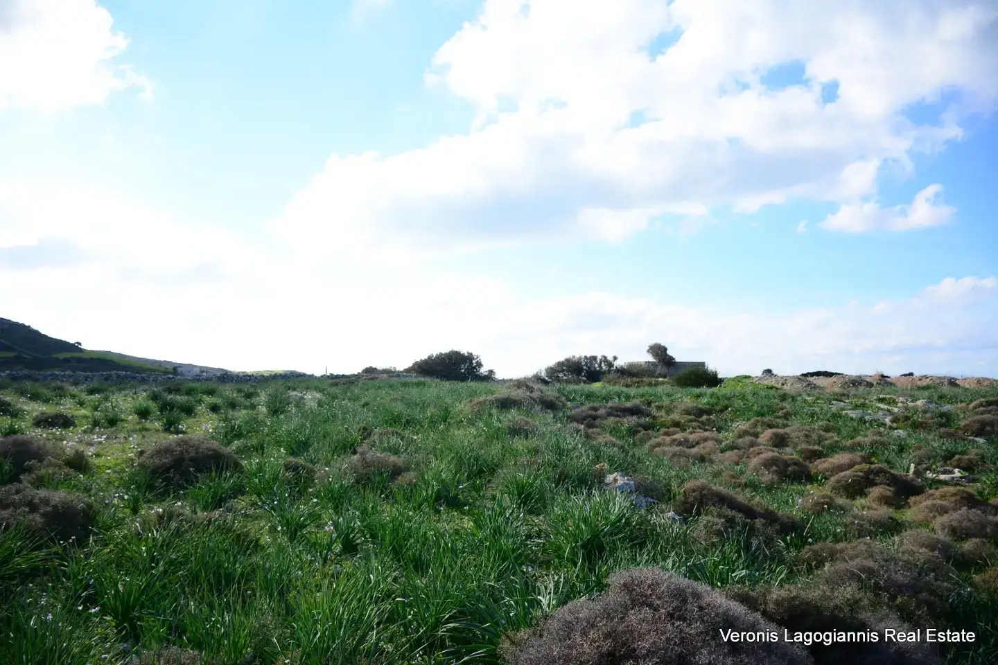 DSC_9440 Kastraki Naxos/Plot of land of 4,098 m²/640615
