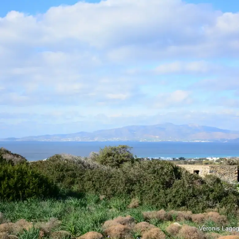 Kastraki Naxos/Plot of land of 4,098 m²/640615