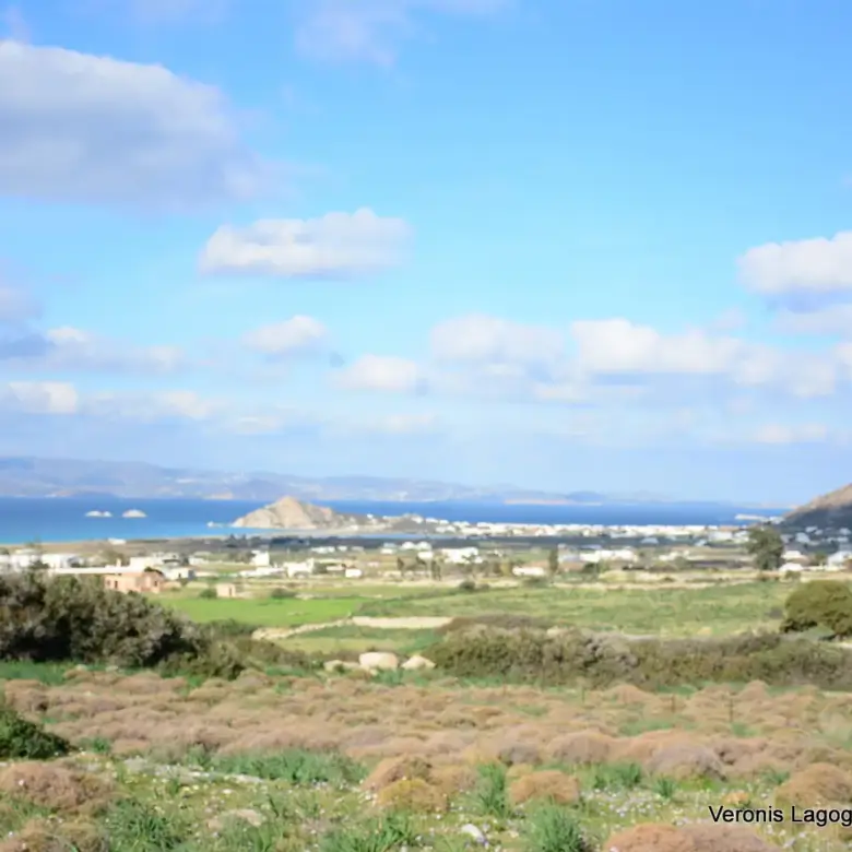 Kastraki Naxos/Plot of land of 4,098 m²/640615