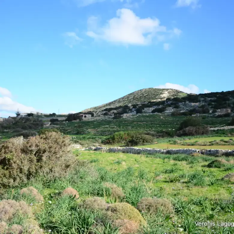 Kastraki Naxos/Plot of land of 4,098 m²/640615