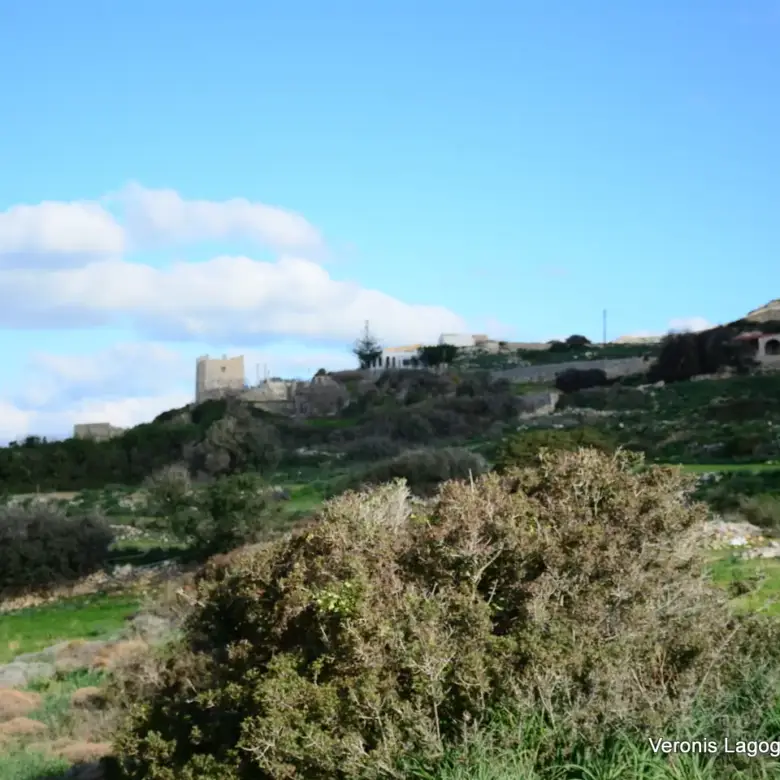Kastraki Naxos/Plot of land of 4,098 m²/640615