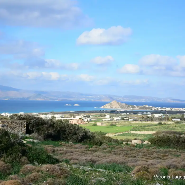 Kastraki Naxos/Plot of land of 4,098 m²/640615