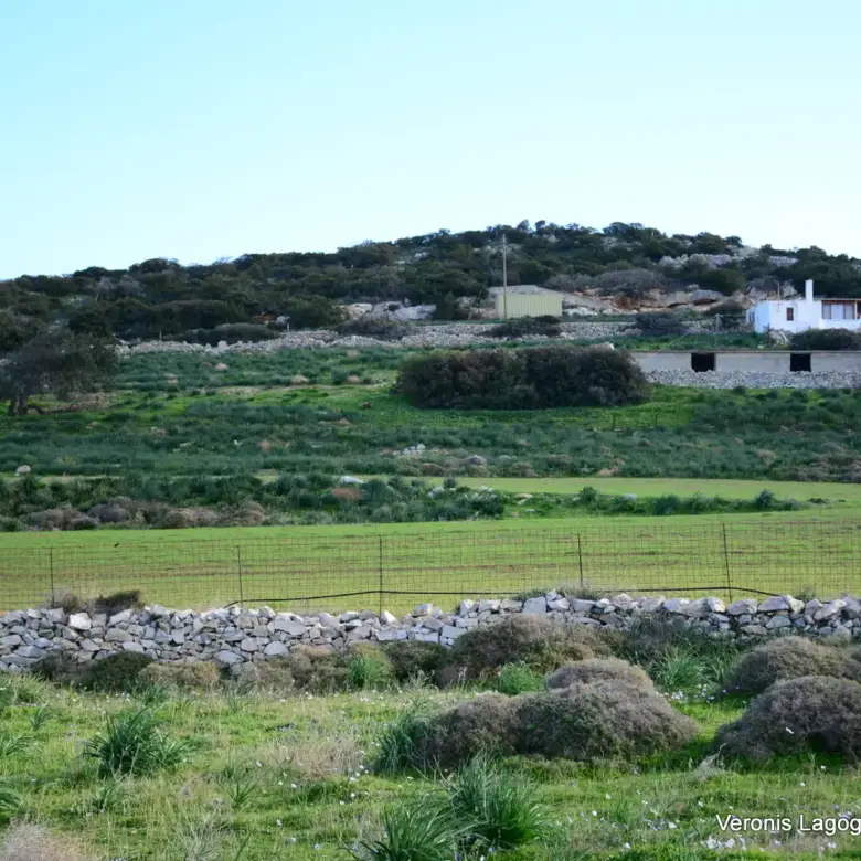 Kastraki Naxos/Plot of land of 4,098 m²/640615