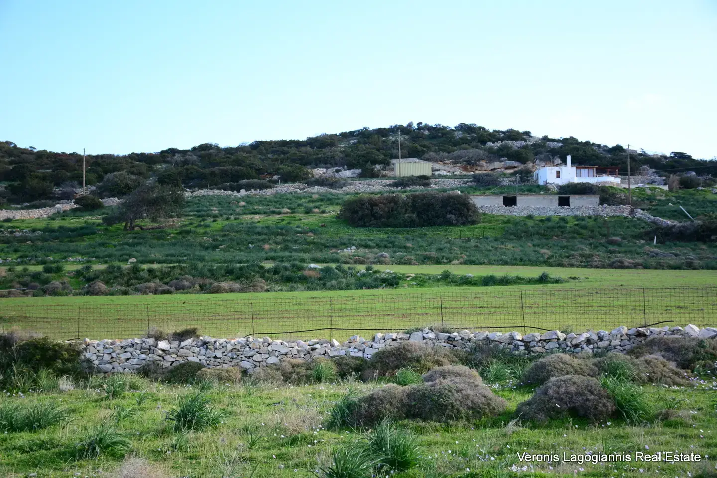 DSC_9450 Kastraki Naxos/Plot of land of 4,098 m²/640615
