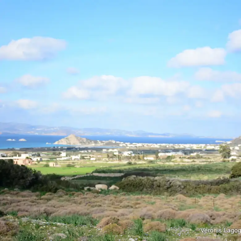 Kastraki Naxos/Plot of land of 4,098 m²/640615