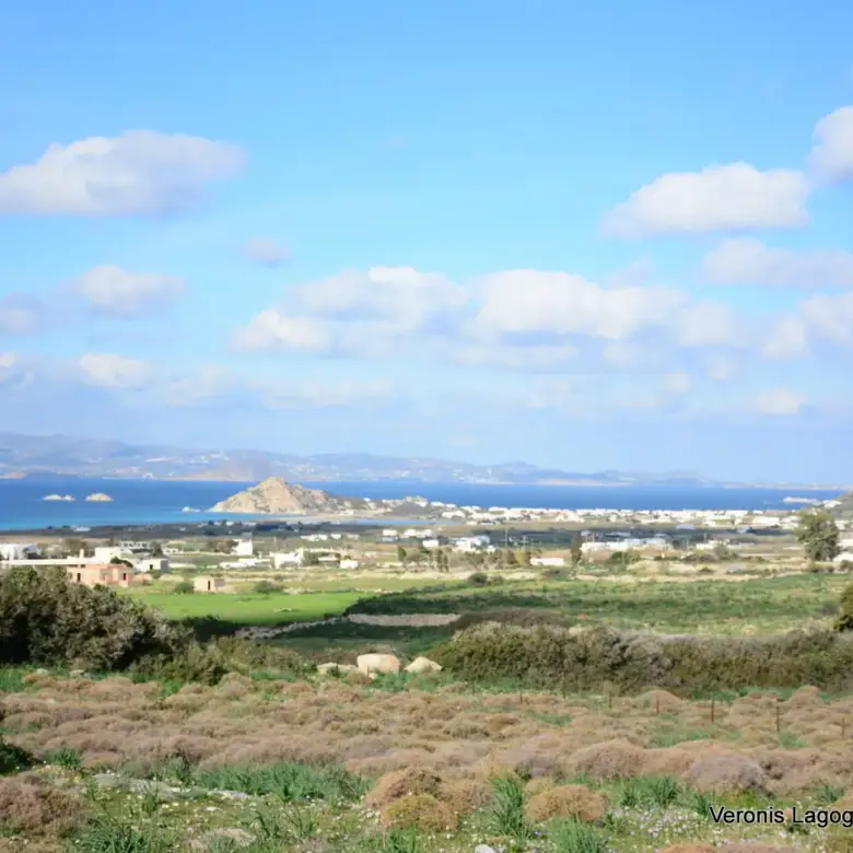Kastraki Naxos/Plot of land of 4,098 m²/640615