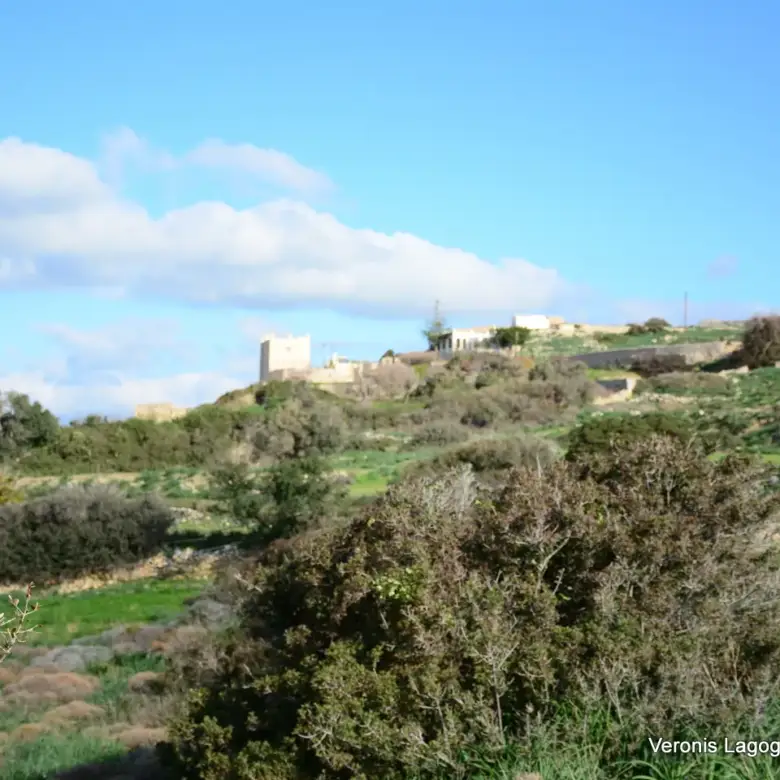Kastraki Naxos/Plot of land of 4,098 m²/640615