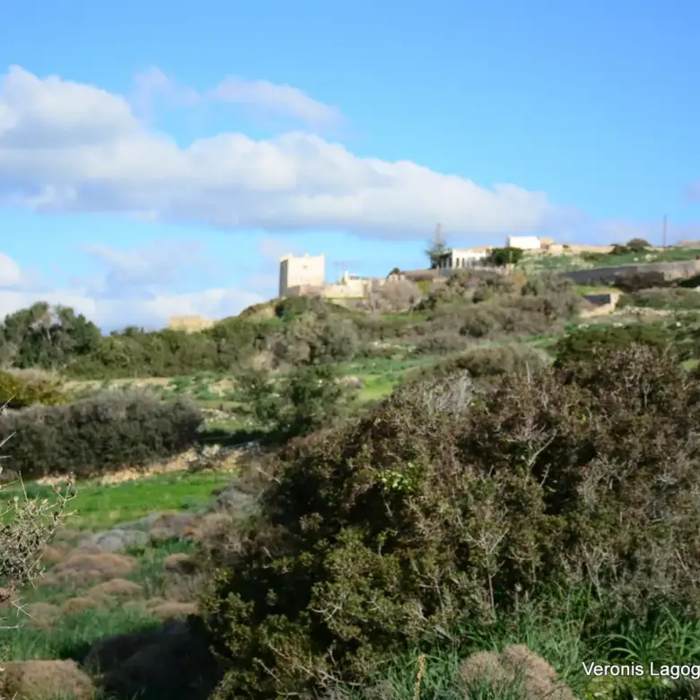 Kastraki Naxos/Plot of land of 4,098 m²/640615