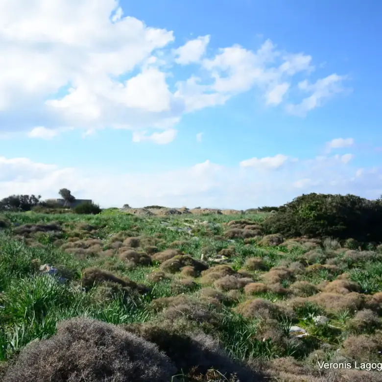 Kastraki Naxos/Plot of land of 4,098 m²/640615