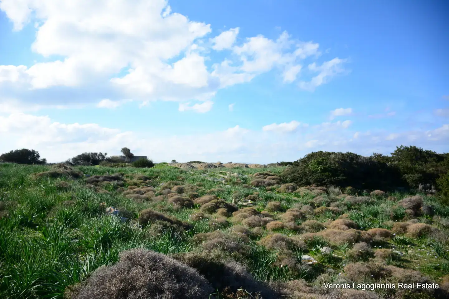 DSC_9461 Kastraki Naxos/Plot of land of 4,098 m²/640615