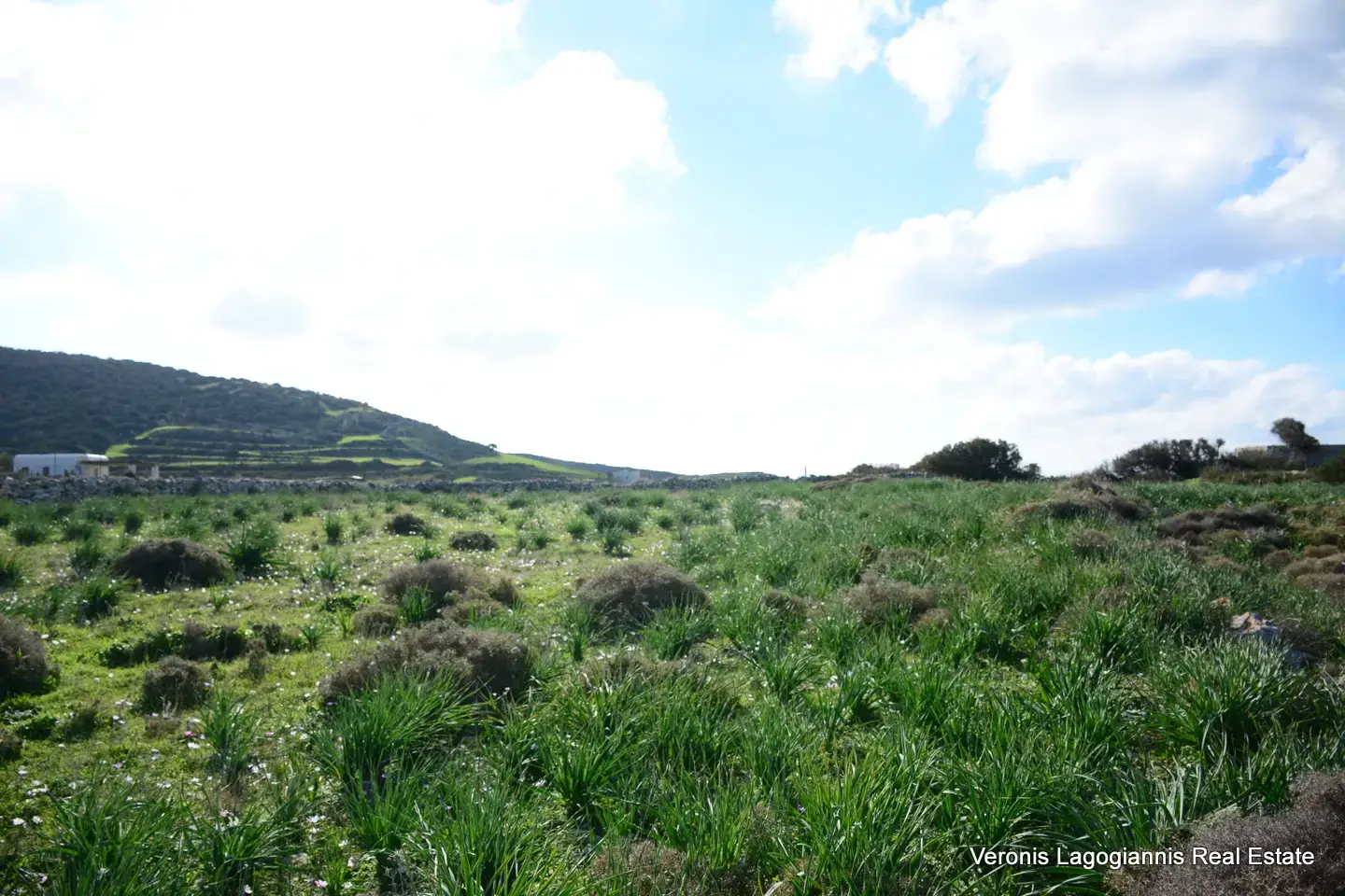 DSC_9462 Kastraki Naxos/Plot of land of 4,098 m²/640615