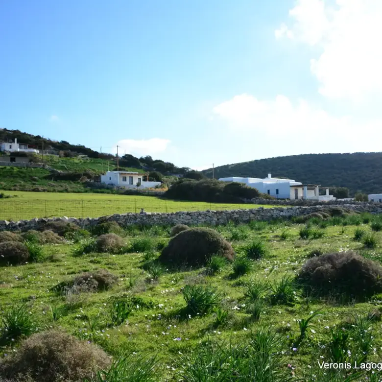 Kastraki Naxos/Plot of land of 4,098 m²/640615