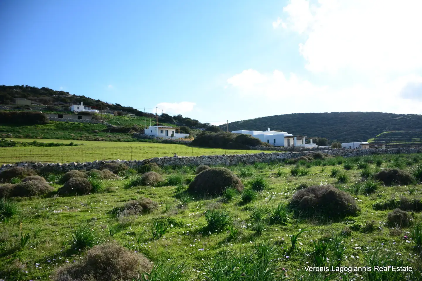 DSC_9463 Kastraki Naxos/Plot of land of 4,098 m²/640615