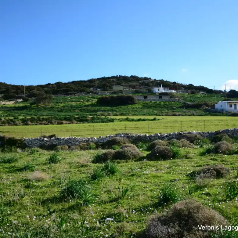 Kastraki Naxos/Plot of land of 4,098 m²/640615