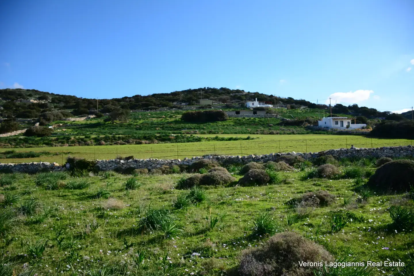 DSC_9464 Kastraki Naxos/Plot of land of 4,098 m²/640615