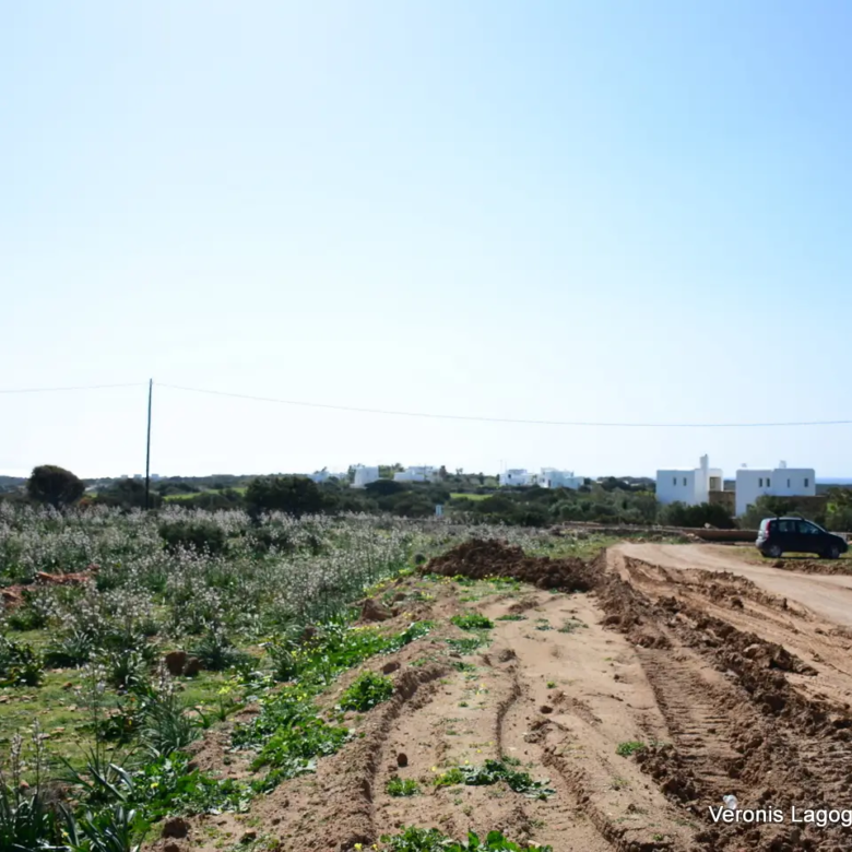Kamaria Alyko / Plot with Building Permit for Two Villas / 640616